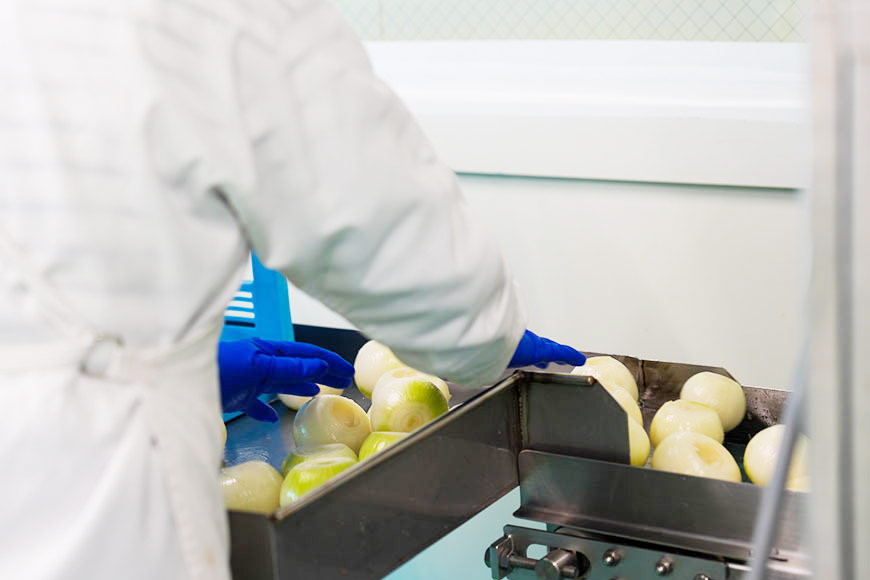 一年を通して新鮮玉ねぎを安定供給